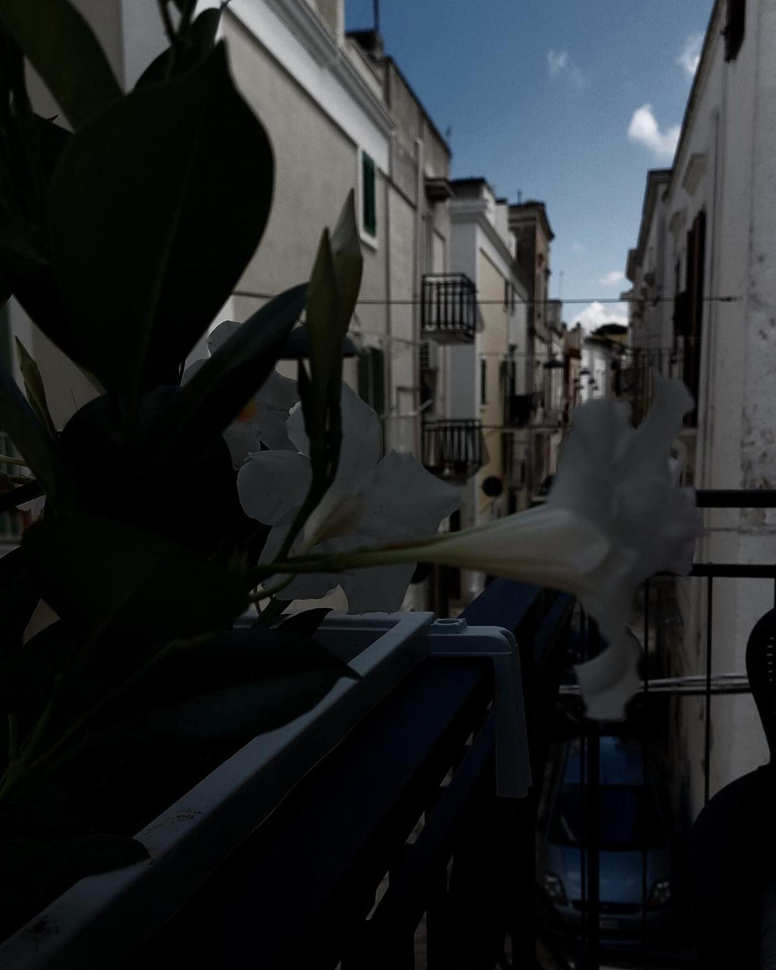 Nene' Apartamento Fasano Quarto foto